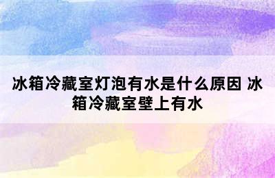 冰箱冷藏室灯泡有水是什么原因 冰箱冷藏室壁上有水